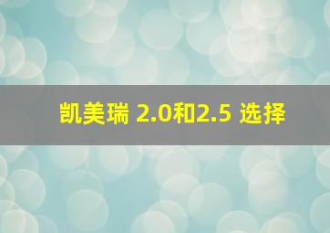 凯美瑞 2.0和2.5 选择